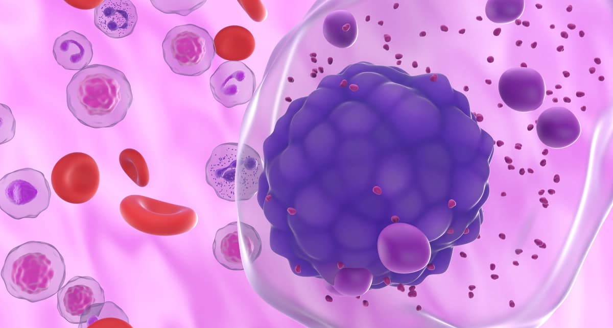 Multiple Myeloma Maintenance Therapy: Is Longer Always Better for Survival?