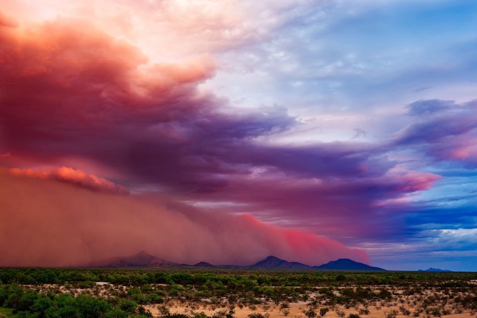 Mushroom Storms Hit the USA: A Hidden Disease Doctors Ignore