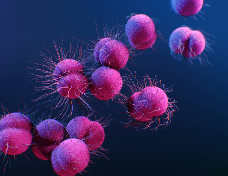 No Vaccine for Gonorrhea: Understanding the Rising Threat of Resistance