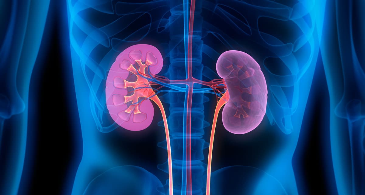 Obinutuzumab Outperforms Tacrolimus in Primary Membranous Nephropathy Treatment