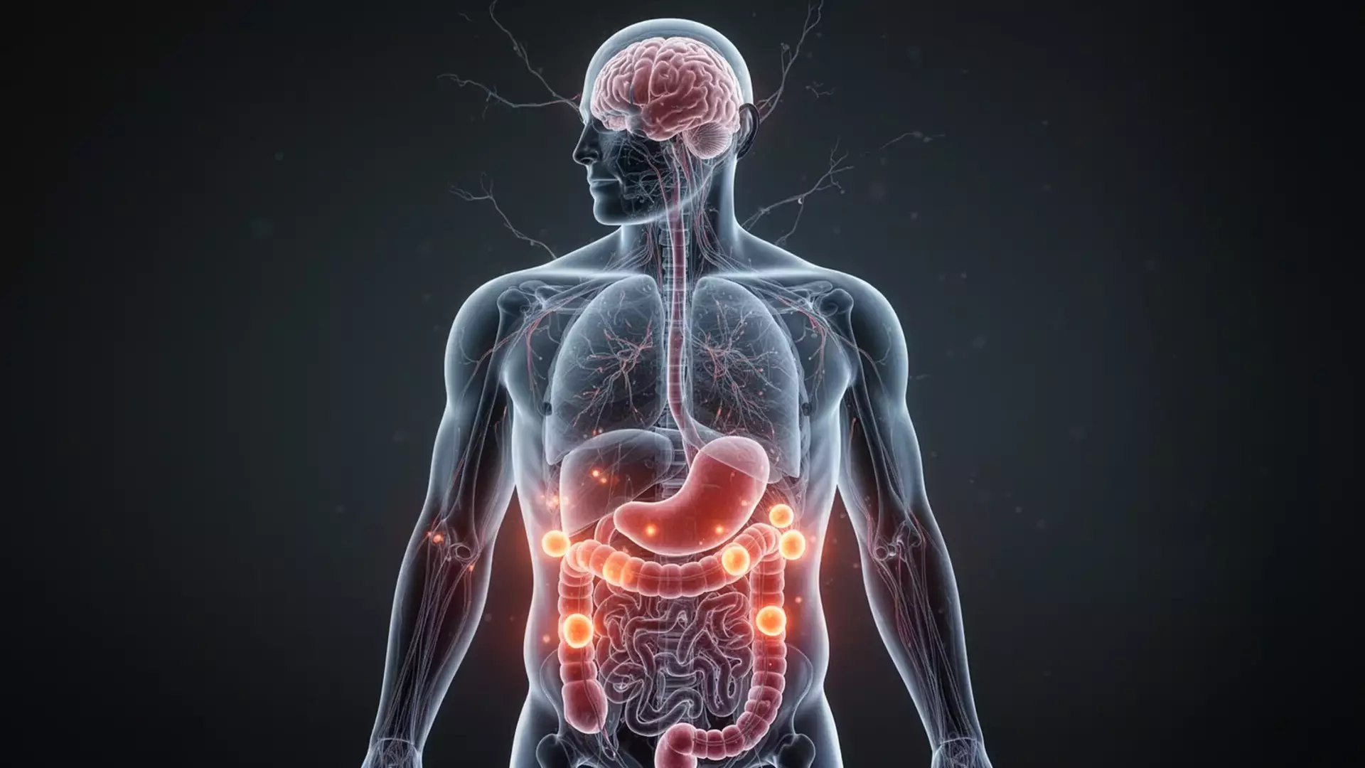 Organ Fat and Brain Health: Pancreatic Fat Reduces Gray Matter by 3.4%
