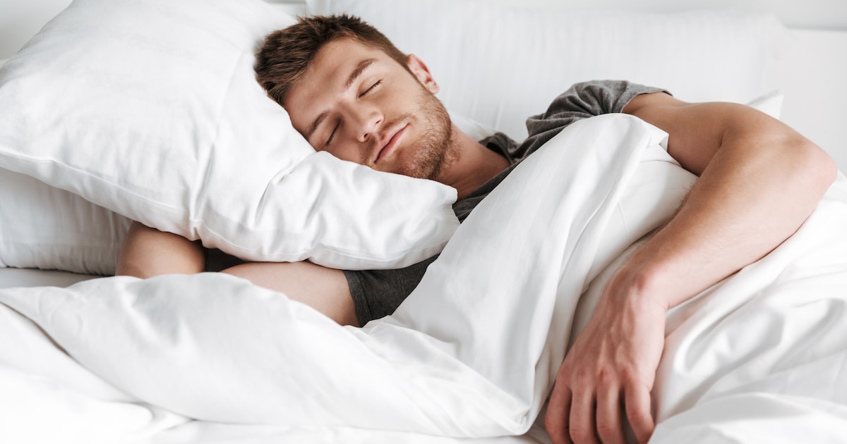 Perfect Bedroom Plants: Expert Tips for Better Sleep and Air Quality