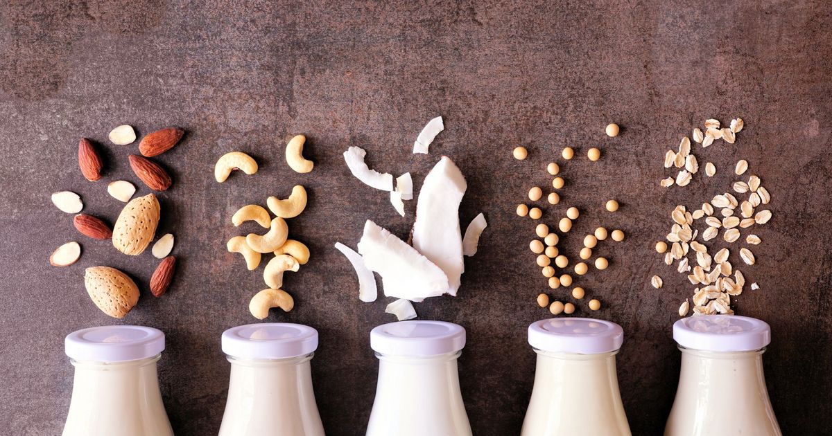 Plant-Based Drinks vs. Cow’s Milk: Which Nutrients Stack Up Best?