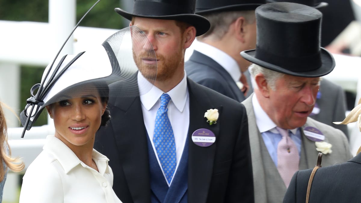 Revelations About Prince Harry and King Charles’ Recent Meeting Emerged
