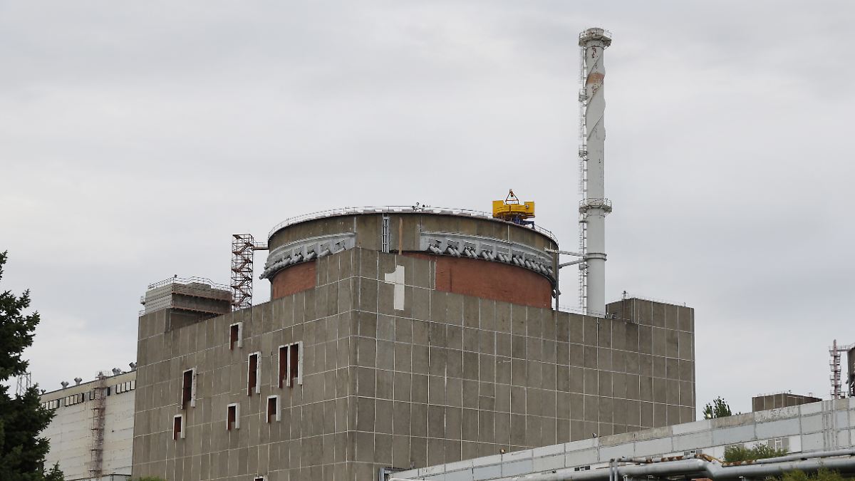 Russia Blames Ukraine for Attack: Saporishschja Nuclear Plant Chief Dead
