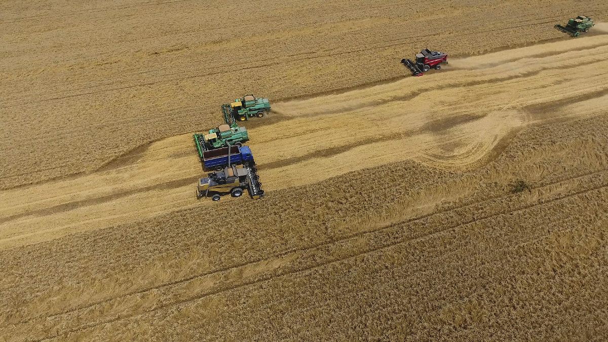 Russian Farmers Face Fuel Crisis Amidst War and Rising Costs