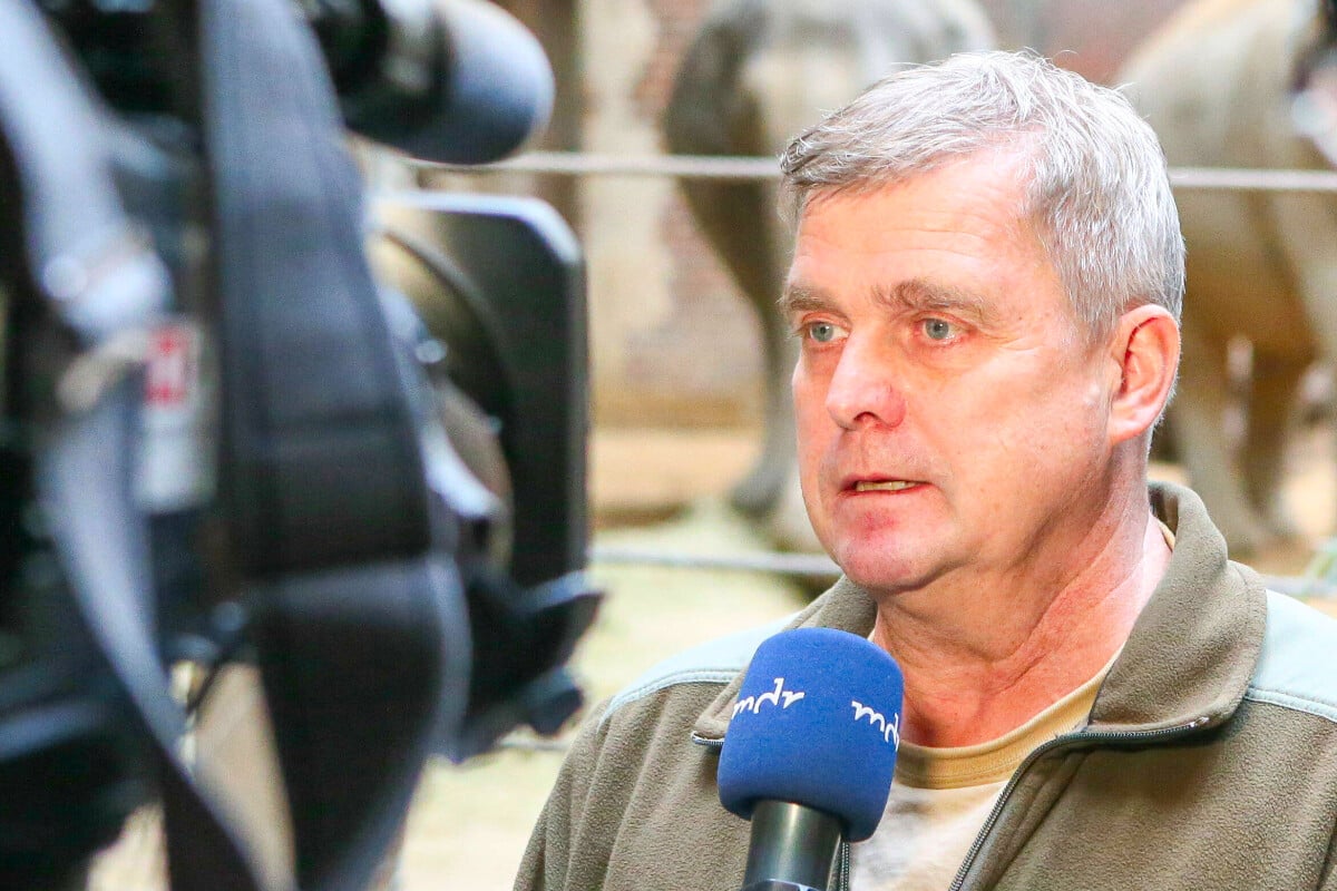 Shock Announcement: Leipzig Zoo’s Dr. Andreas Bernhard Retires from ‘Elefant, Tiger & Co.’