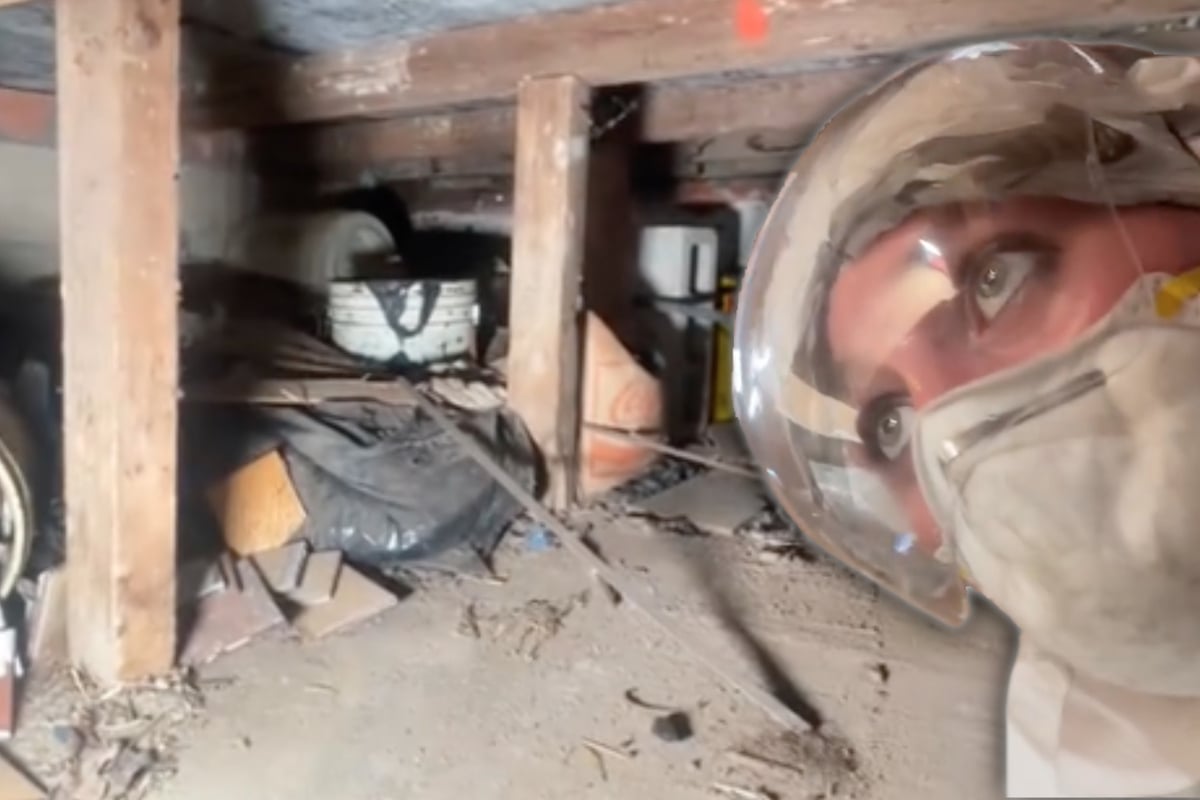 Shocking Discovery: Woman Uncovers Gross Secrets During New York Renovation