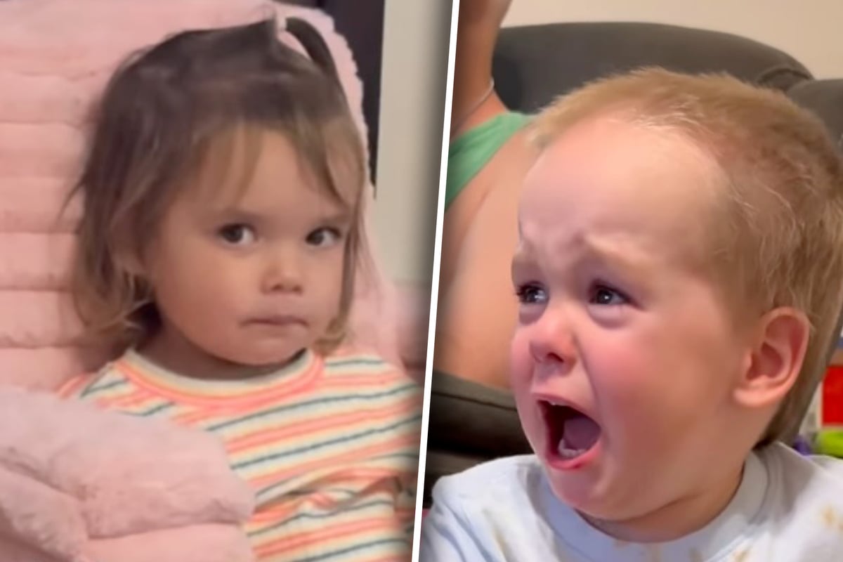Sister Hits Brother with Plush Elephant: Their Hilarious Reaction Goes Viral!