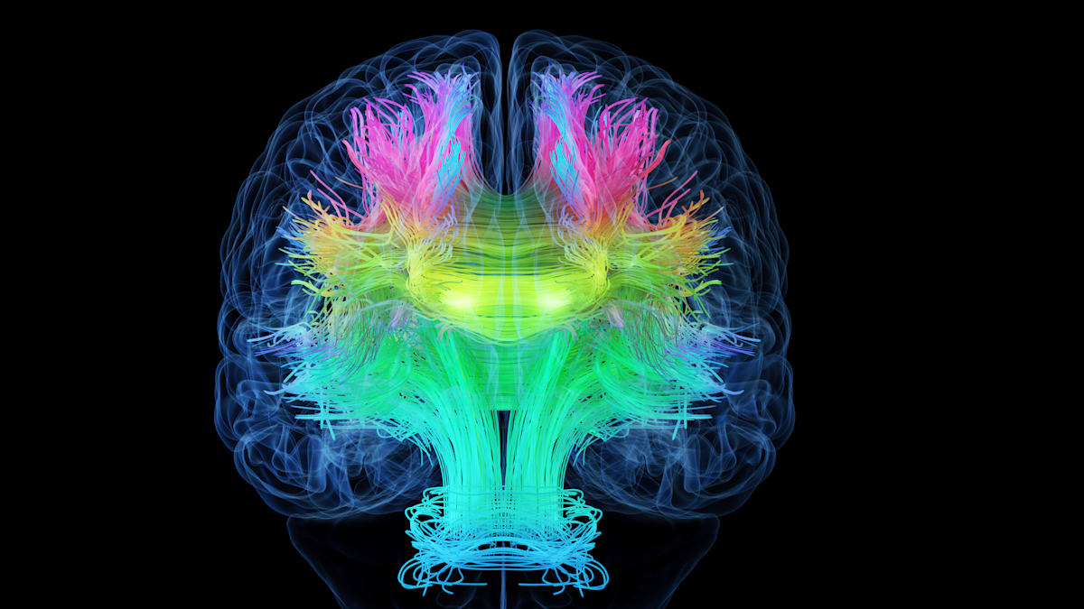 Sleep Deprivation: How Just One Sleepless Night Alters Your Brain
