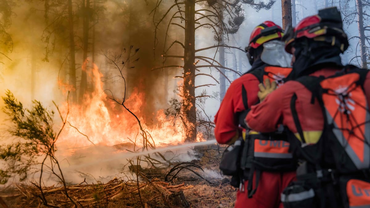 Spain Declares Emergency as Wildfires Rage; France Seeks EU Assistance
