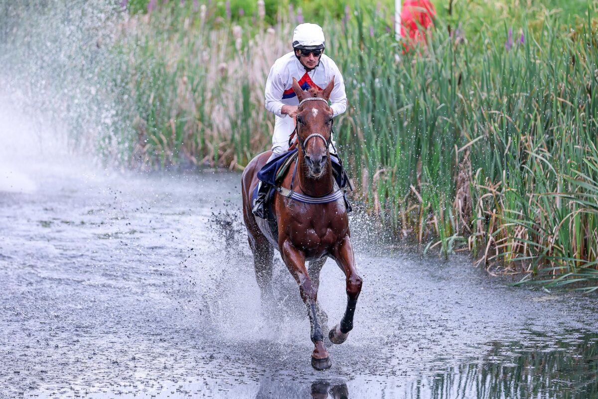 Spectacular Style’s Stunning Victory: Tabet’s Final Ride in Germany!
