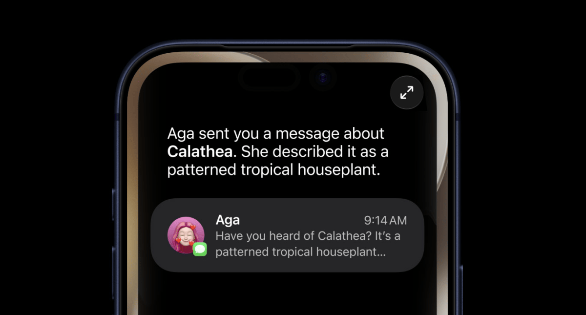 Spotlight Revamp: How Old iOS Prepares for Enhanced Siri AI Features