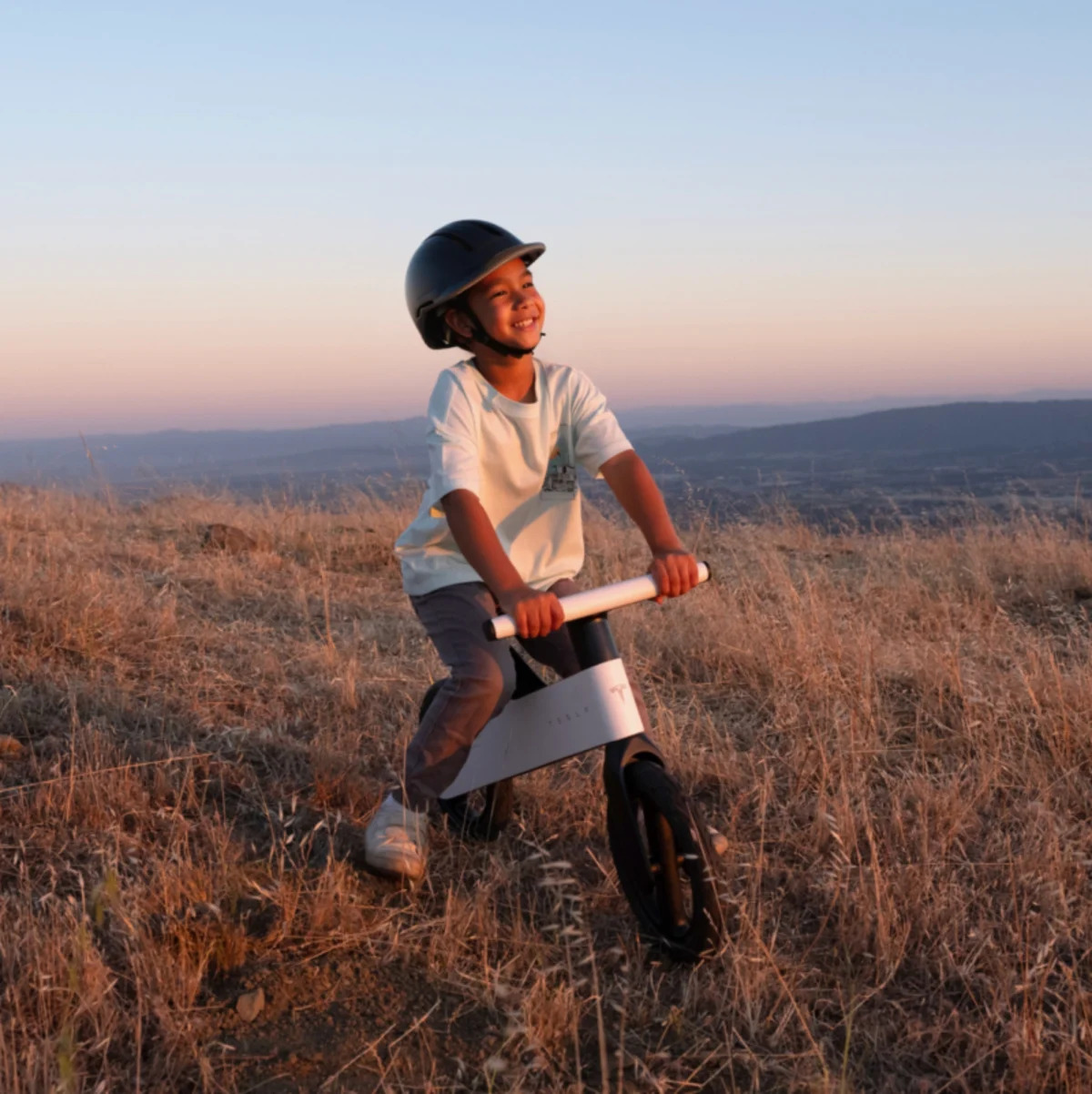 Tesla Launches $195 Balance Bike for Kids While Roadster Delays Continue
