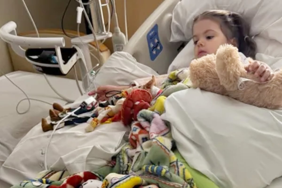 Three-Year-Old Bitten by Rattlesnake After Reaching for Delivered Package