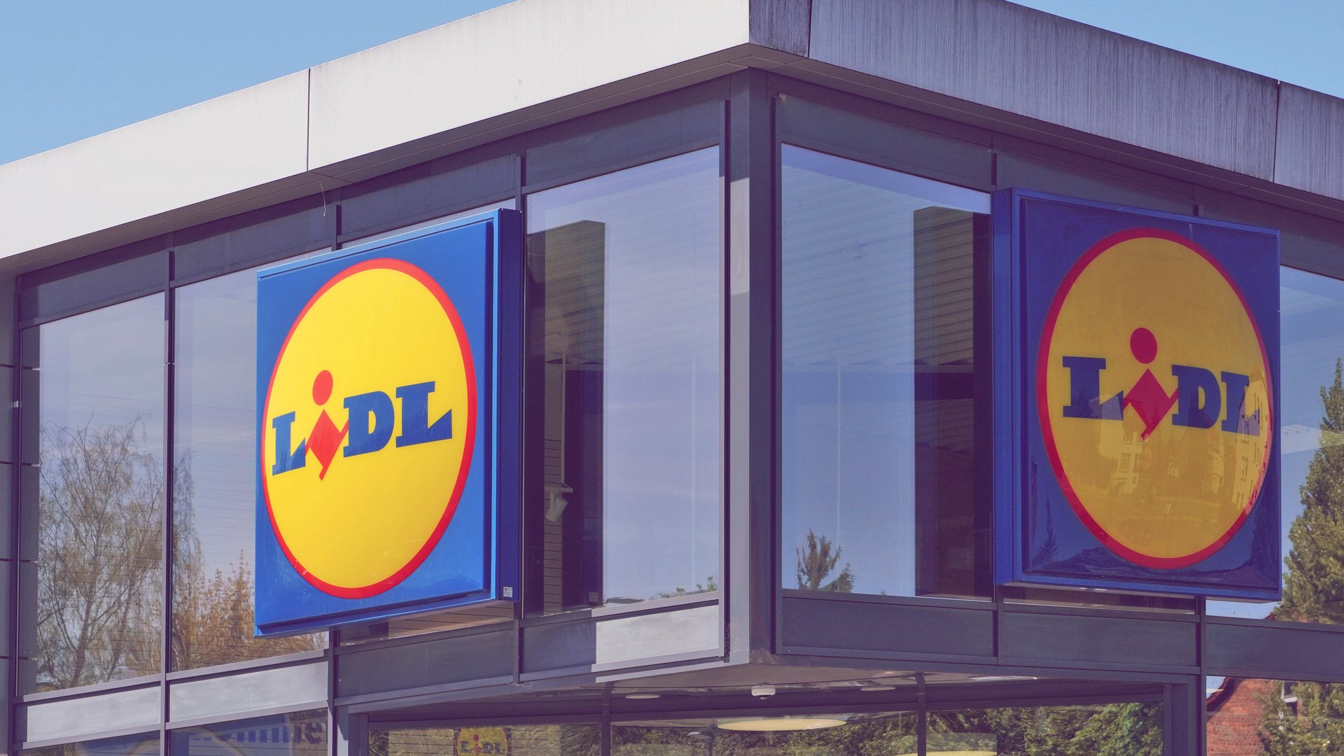 Top 5 Lidl Deals for Stylish Living: Transform Your Space Now!