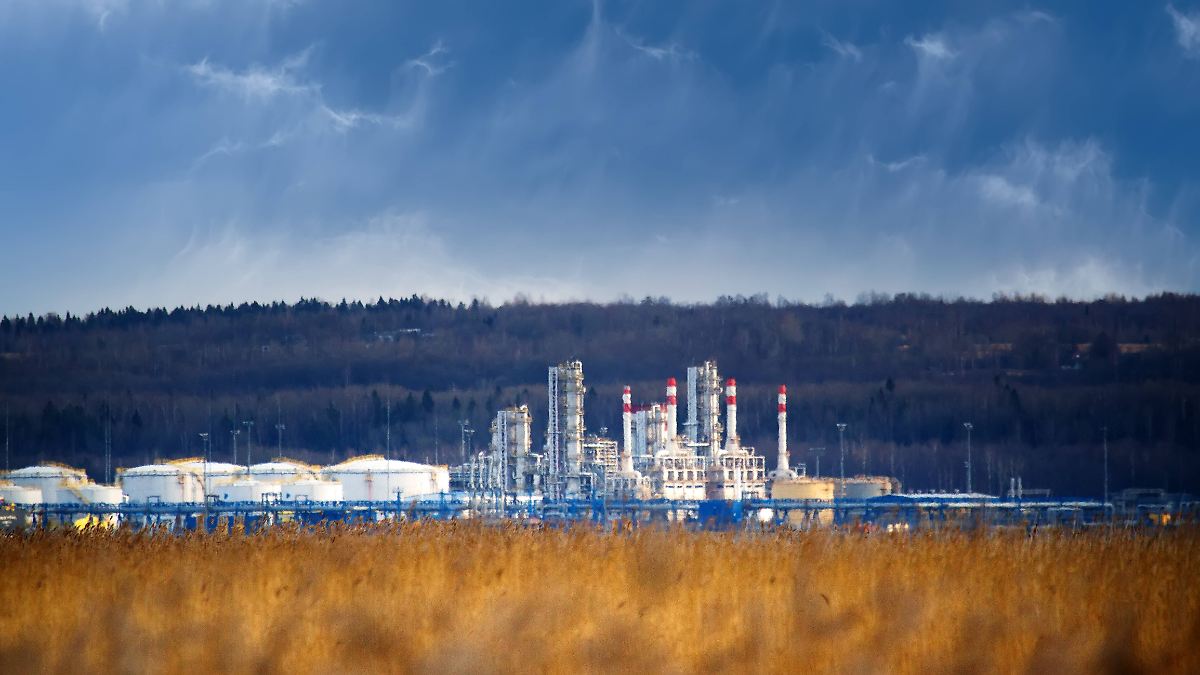 Ukraine Targets Key Russian Oil Export Ports in 20 Regions: Impact Assessment