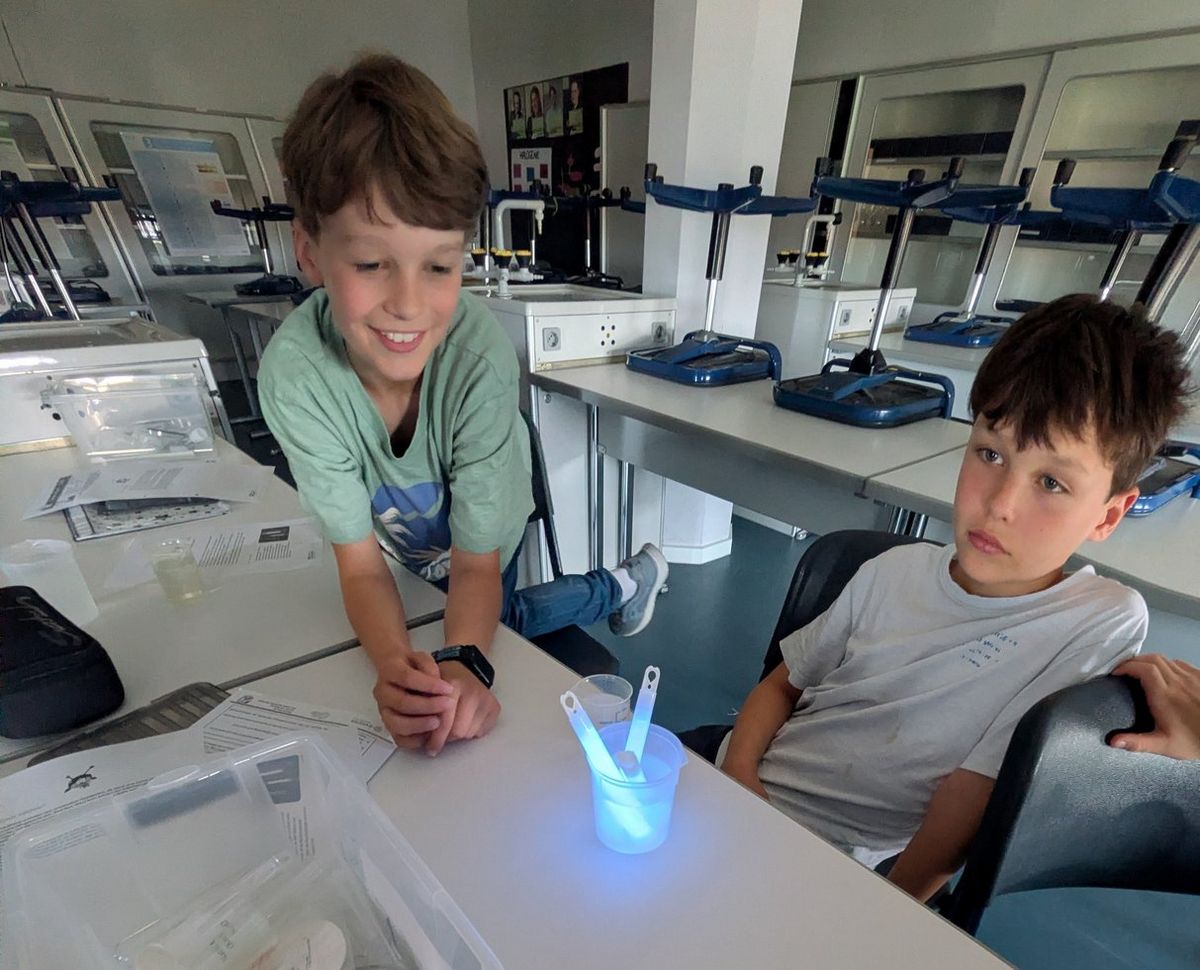 Unlocking Nature: Bionics, Light, and Colors in Science Discovery