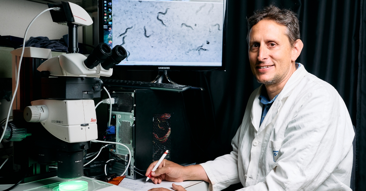 Unlocking the Secrets of DNA: How Nematodes Reveal Our Genome’s Structure