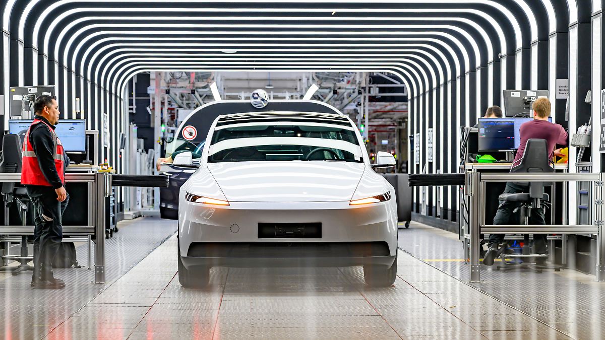 Up to €6000 Government Bonus: Tesla Drivers Lead Electric Car Incentives