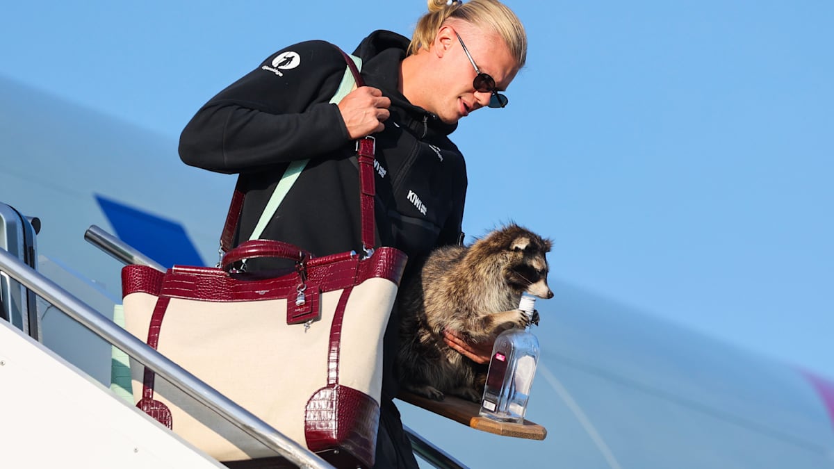 WM 2026: Haaland’s Quirky Arrival with a Stuffed Raccoon in Hand!