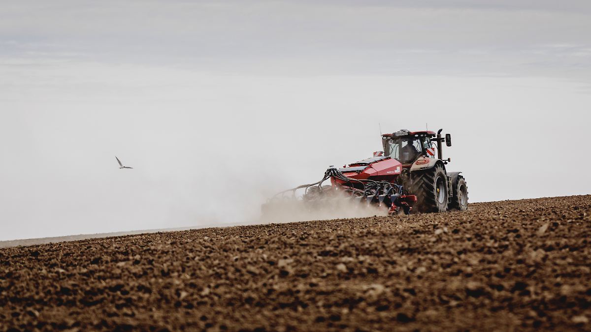Where’s the E-Revolution in German Farms? Insights for the Late 2020s!