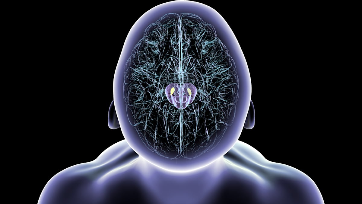 Why Men Are More Likely to Develop Parkinson’s: Key Research Insights