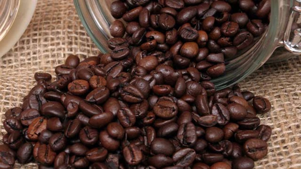 Why Storing Coffee Powder in Your Fridge Ruins Its Flavor!