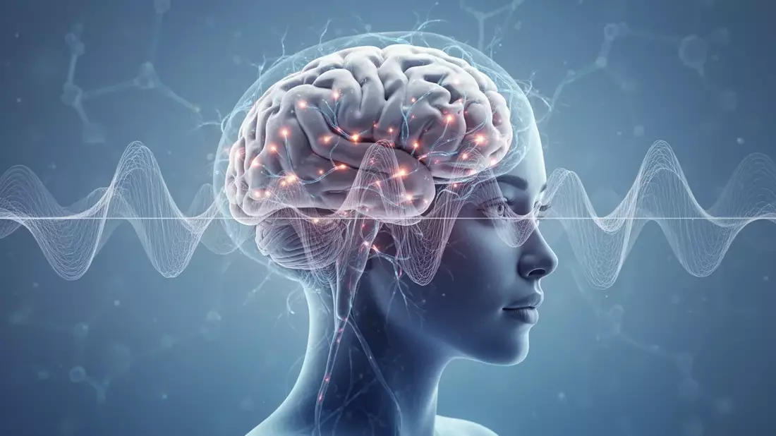 Menopause: Estrogen deficiency shrinks brain areas and increases risks