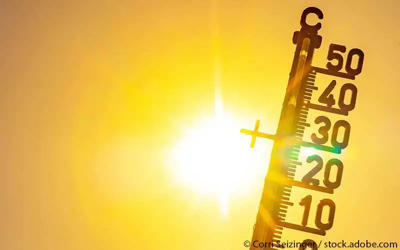Climate Change Starts in the Womb: How It Shapes Brain Health for Life